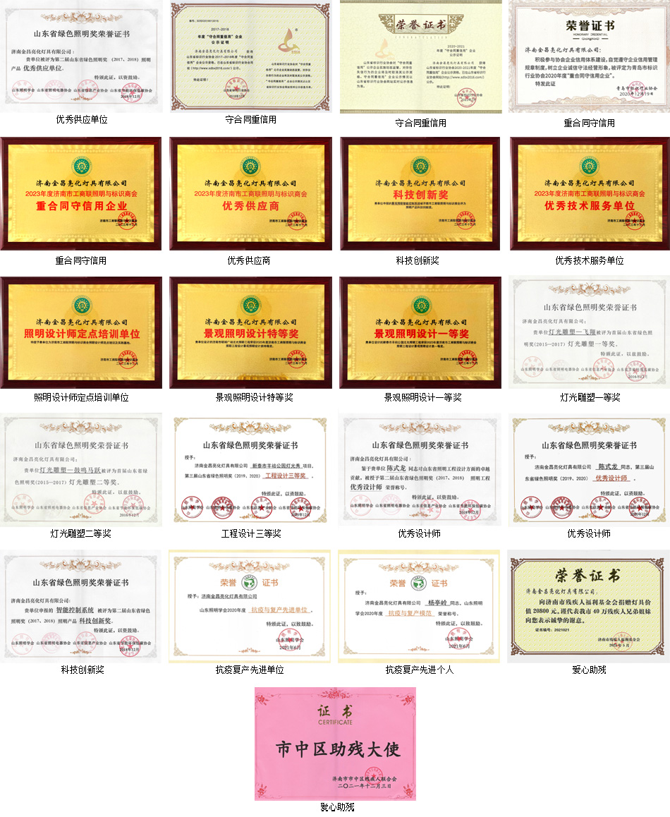 企業(yè)榮譽(yù)(圖2)